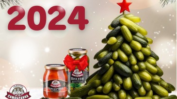 We congratulate you with the upcoming New Year 2024! 
