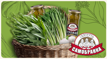 What is the difference between garlic arrows and ramson?