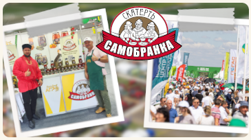 Field Day - 2025, Volgograd
