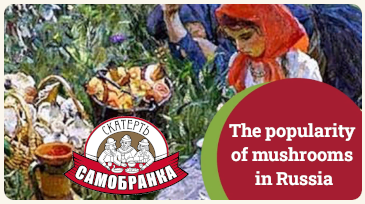 Why do Russians like mushrooms?