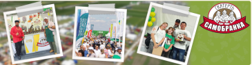 Field Day - 2025, Volgograd